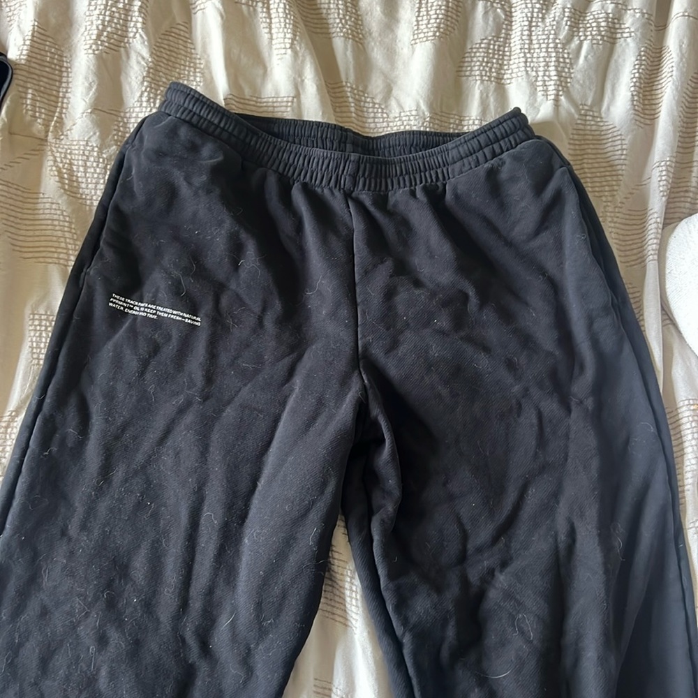Pangaia sweat pants